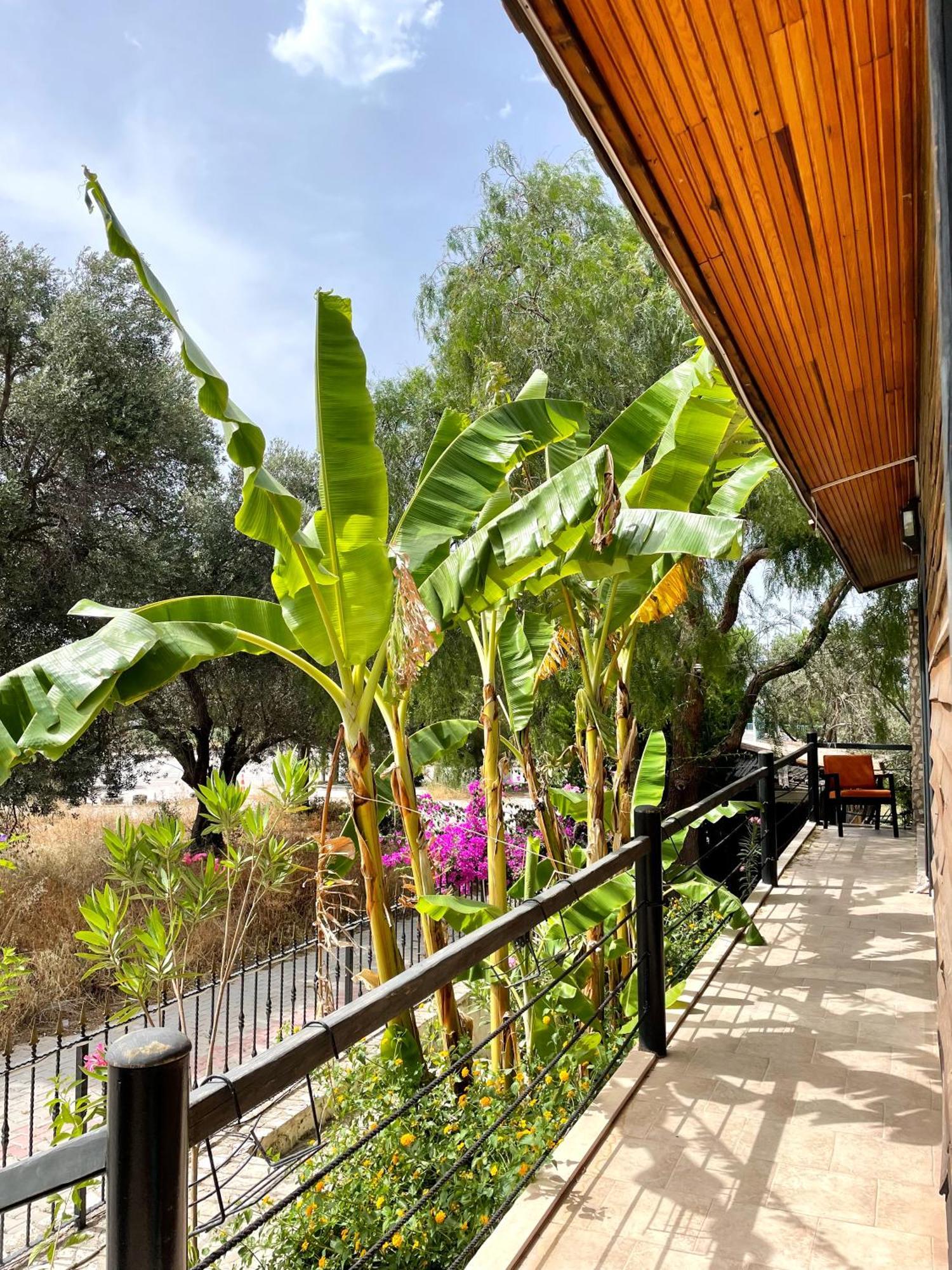 Ata Boutique Hotel Çeşme Extérieur photo